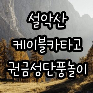 설악산케이블카권금성Seoraksan Cable Car Kwon Geumseong Maple Play Current Situation Overview and Tips 4