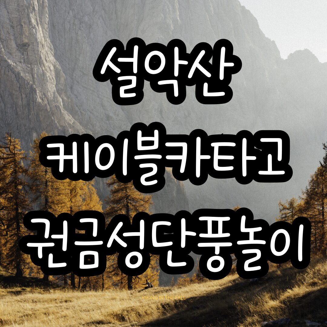 설악산케이블카권금성Seoraksan Cable Car Kwon Geumseong Maple Play Current Situation Overview and Tips 4